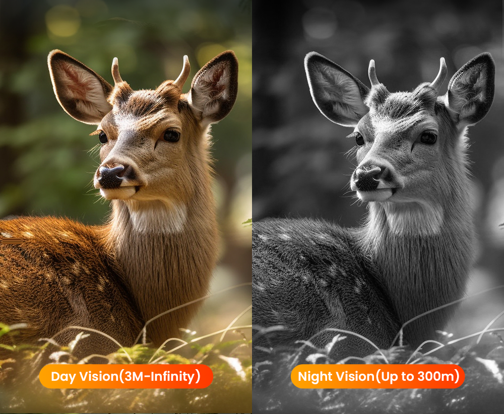 Same deer seen in daylight colour and in night vision